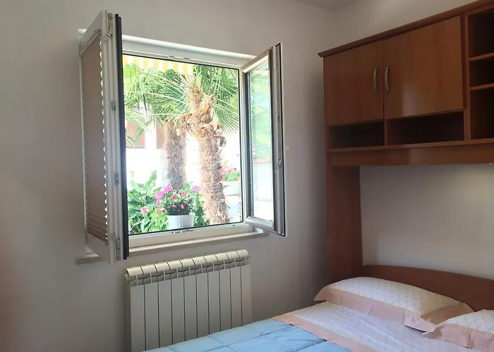 Lili * أنكاران